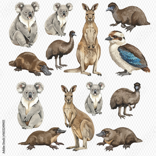 A collection of watercolor illustrations featuring iconic Australian animals like koalas, kangaroos, and platypuses.