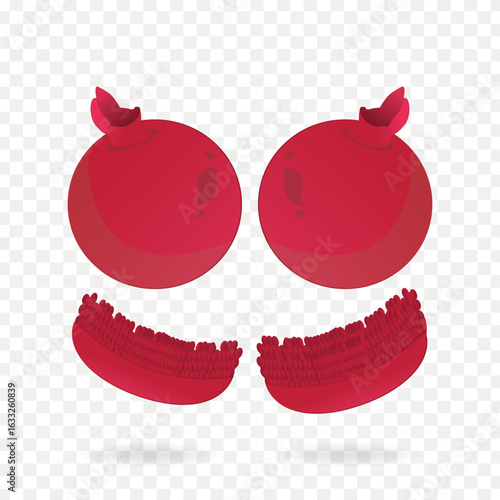 Pomegranate fruit clip art vector illustration on transparent background