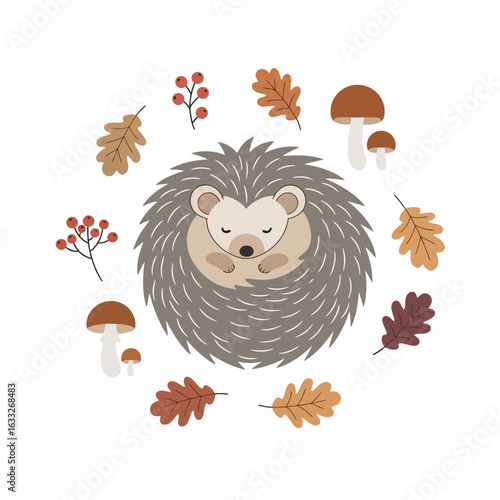 A cute sleeping hedgehog surrounded by autumn leaves, berries, and mushrooms.