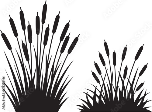 Cattail Plant Silhouette Vector

Marsh and Wetland Cattail Clipart

Nature Pond Plant Cattail Design

Aquatic Plant Reed & Cattail Vector Art

Cattail Grass Silhouette Illustration

