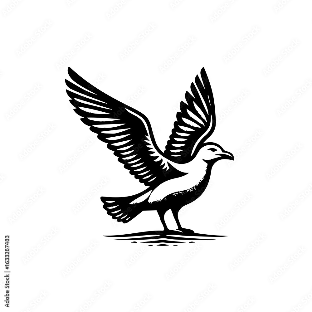 Fototapeta premium Black and White Seagull in Flight Silhouette.