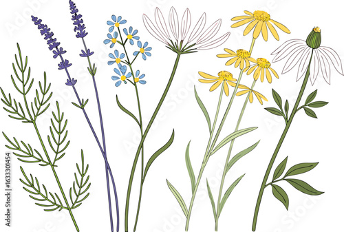 A colorful vector illustration of a wild bouquet of flowers with leaves and stems isolated on a white background