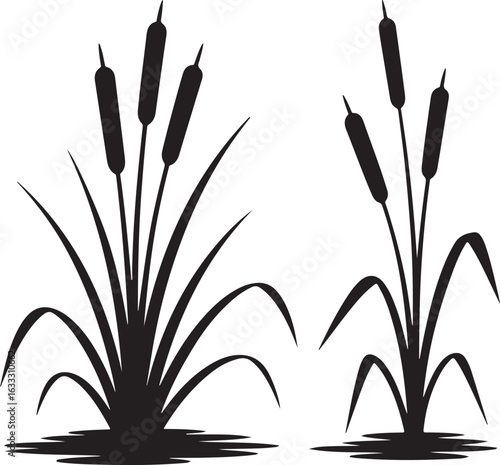 reeds in the morning