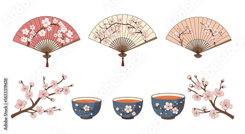 Japanese fans and tea cups with cherry blossom vector illustration art