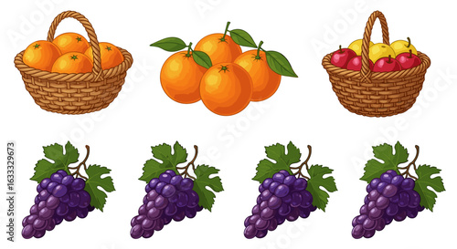 Illustration of fruits baskets oranges grapes apples pears harvest market
