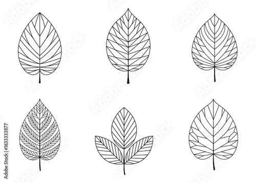 Simple Black Leaf Silhouette Featuring Cut-Out Shapes, Clean Minimalist Botanical Icon for Logos, Web & Print Design, leaf, botanical, polygonal, vector, flat, nature, plant, design, modern, abstract,