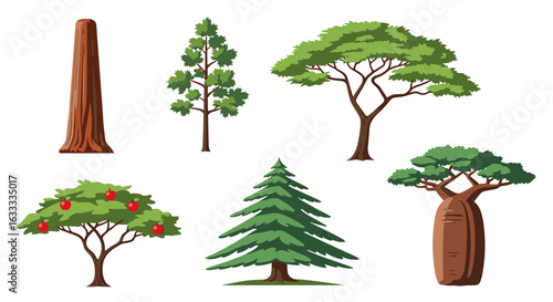 Collection of diverse tree species illustrating varied forms and habitats across the globe