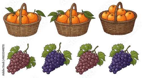 Baskets of oranges and bunches of grapes fruit harvest still life art