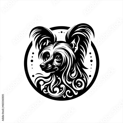 Dog portrait isolated on white background