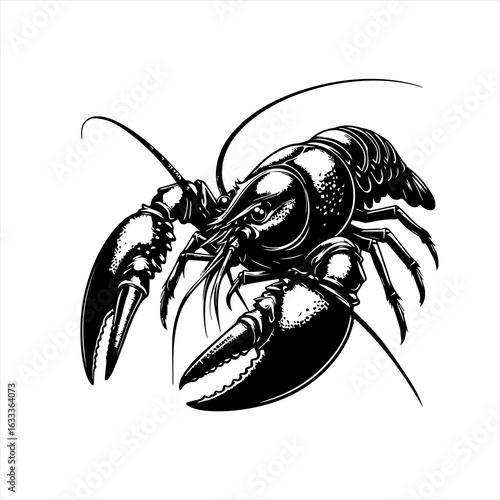 Lobster isolated on white background