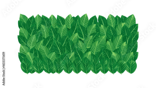 Green leaves background vector illustration for nature design and spring season fresh foliage wallpaper concept