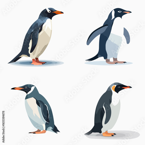 Colorful, side-view illustrations of four penguin types against a white background. A graphic design for nature-themed projects.