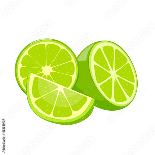Fresh lime background. Green slices and whole wedges of fresh lime. Citrus fruits set. Hand drawn.