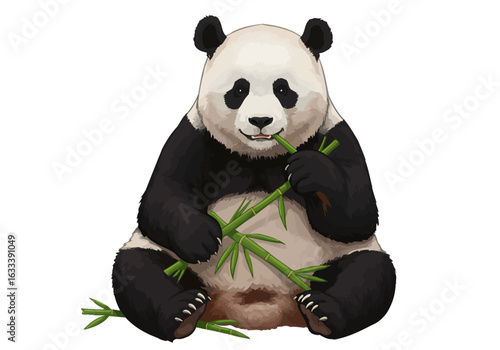 A plump giant panda bear illustration, sitting and eating a green bamboo stalk.