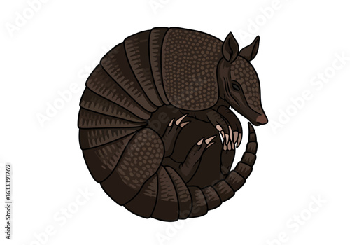 Brown armadillo with a textured armored shell curled into a protective ball.