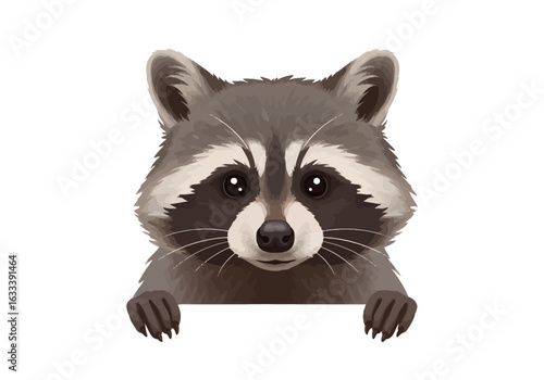 Charming cartoon raccoon with fluffy fur and big eyes peeking over a surface.