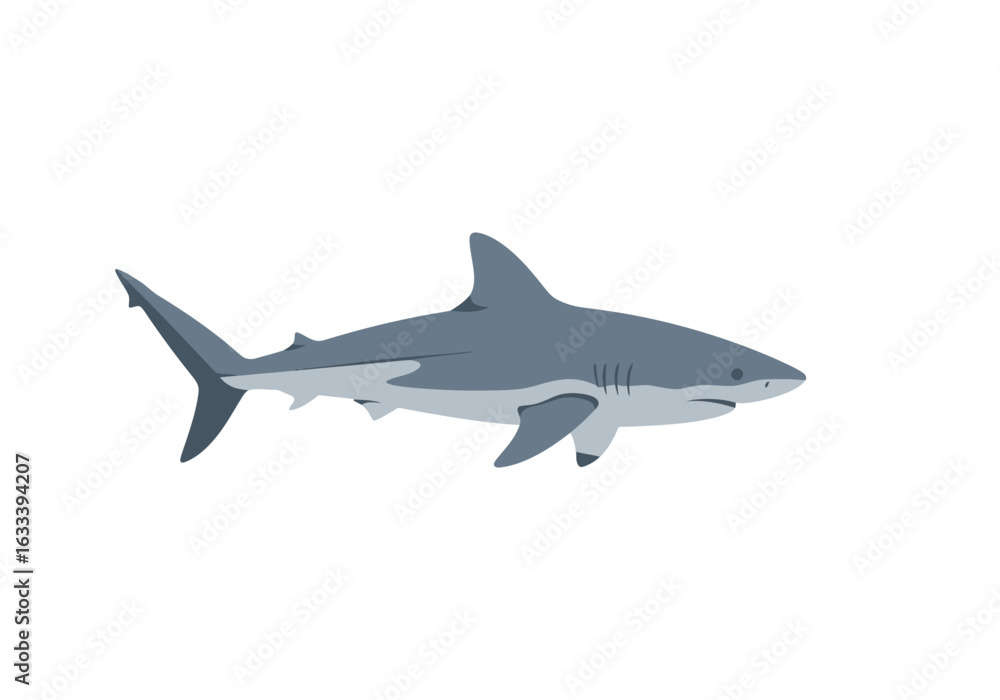 Fototapeta premium Sleek Gray Shark Illustration, Side Profile, Aquatic Predator