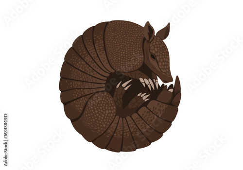 Vector illustration of a brown armadillo curled into a defensive ball, showing its armored shell and claws.