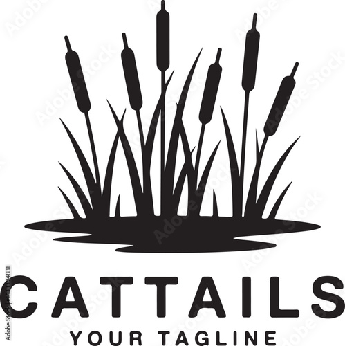 vector illustration of a black cat