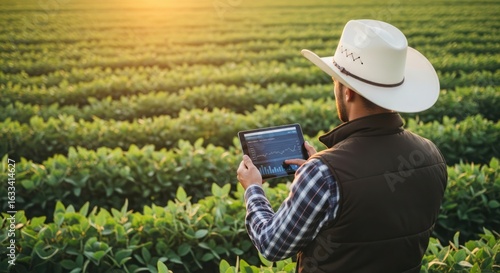 Farmer using tablet in soybean field at sunset, precision agriculture technology.