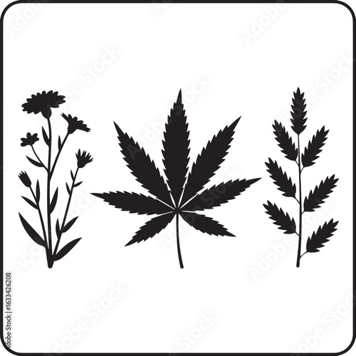 cannabis leaf vector illustration