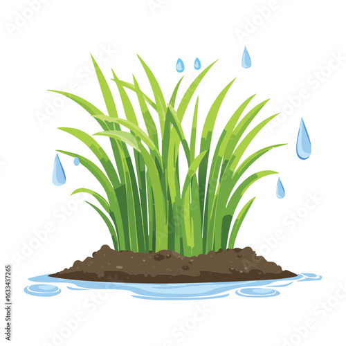 Fresh Green Grass Bush with Water Drops