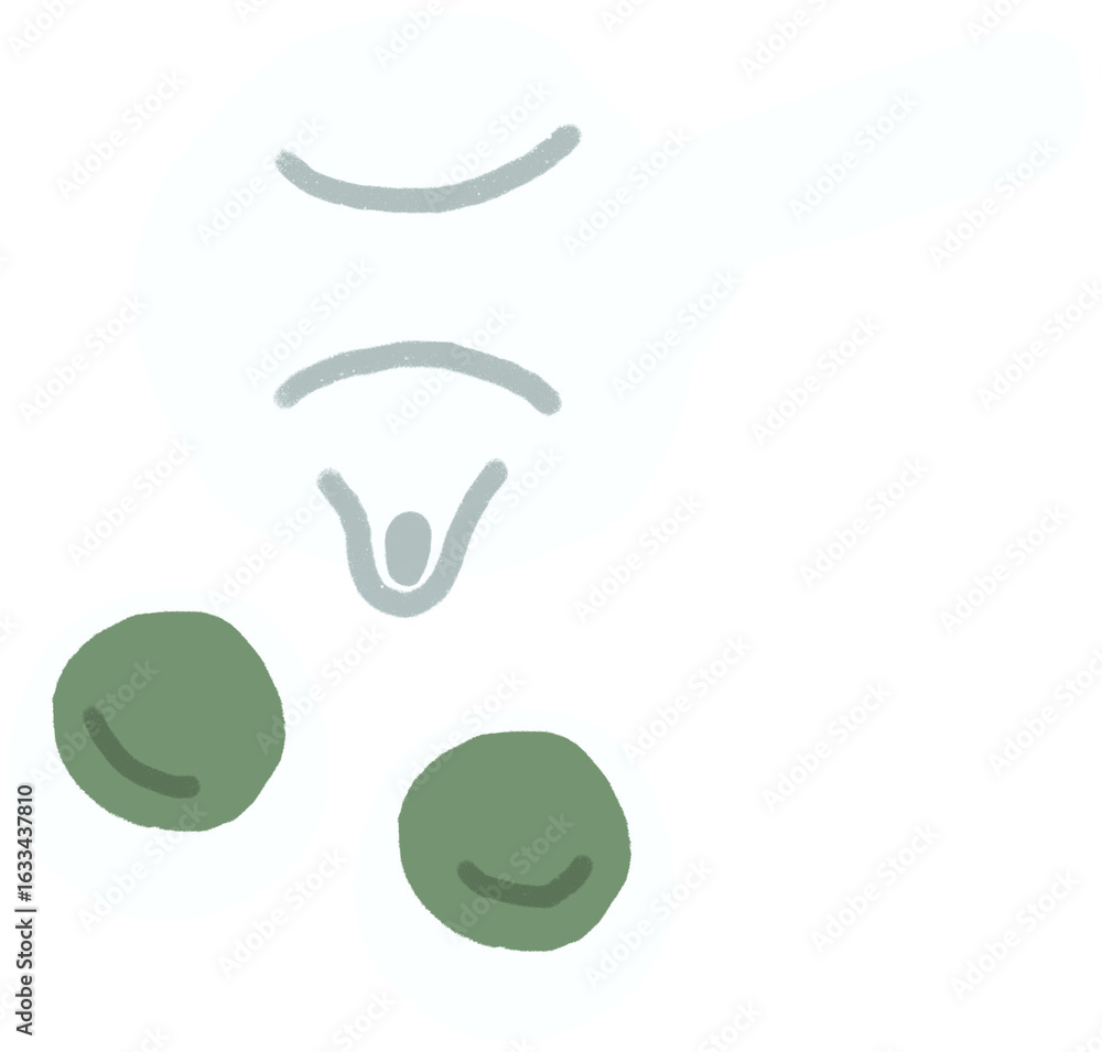 Fototapeta premium 차