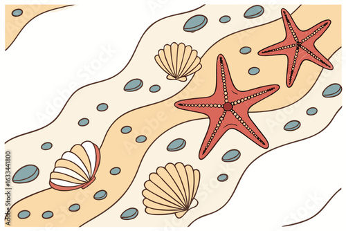 sea shells and starfish