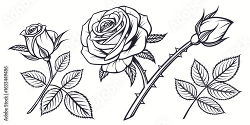 Hand drawn vintage rose floral seamless pattern with blossoms, leaves, and artful decorations