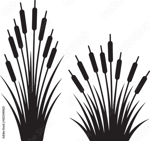 black and white pencils