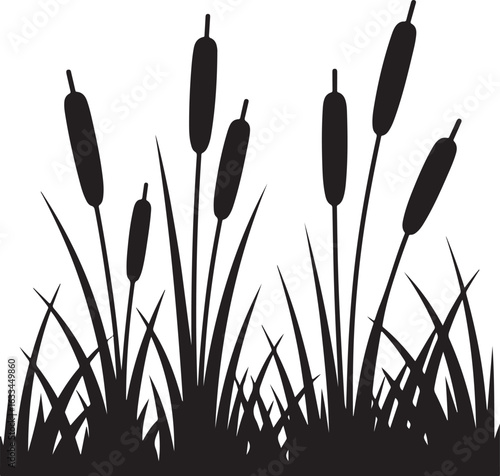 reeds in the wind