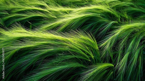 A mesmerizing close-up of vibrant green feather grass swaying in the wind, creating an abstract and flowing natural texture with long exposure.