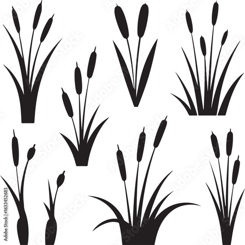 cattail vector

marsh plant silhouette

wetland plant illustration

aquatic plant vector