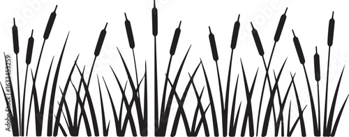 grass on white background