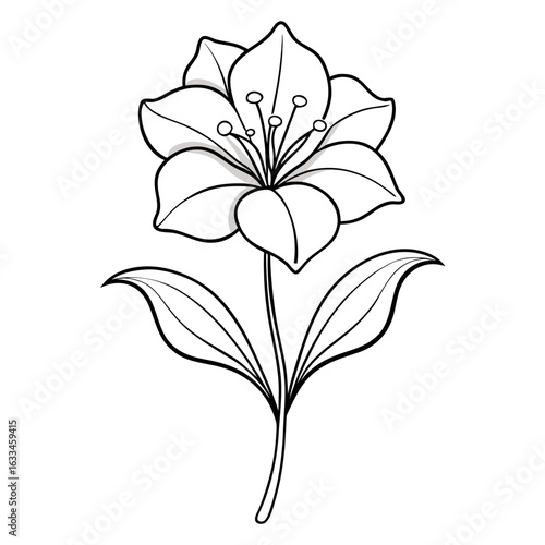 mazus pumilus flower line art vector  illustration  on-white-background