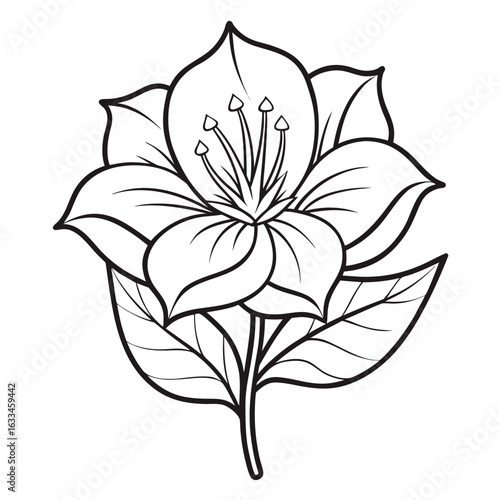 mazus pumilus flower line art vector  illustration  on-white-background
