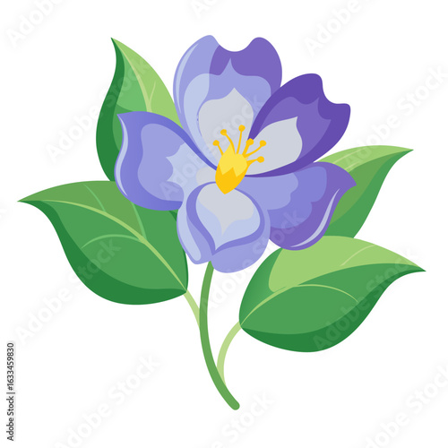 mazus pumilus flower  vector    on-white-background