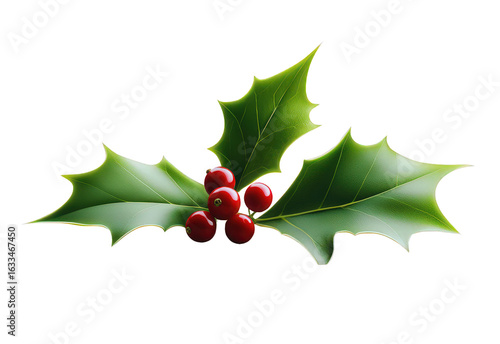 A stylized holly leaf design with deep green clolors on trasparent background PNG
