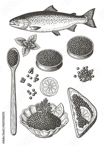 Caviar sketch illustration. Salmon caviar drawing. Vector vintage fish food. Black red fish egg in hand drawn doodle design. Spoon, sandwich, plate. Engraved pattern, art cartoon isolated on white