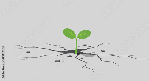 Plant growing through cracked gray ground