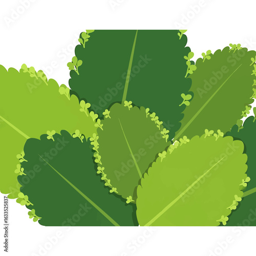 Vector illustration of a lush cluster of overlapping green leaves. A stylized foliage background with detailed scalloped edges.