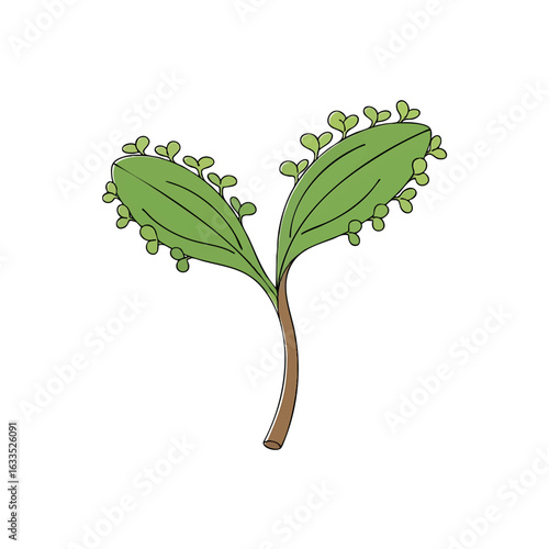 Vector graphic of a Mother of Thousands succulent. Green gradient silhouette illustration showing leaf propagation, isolated for nature and botanical design.