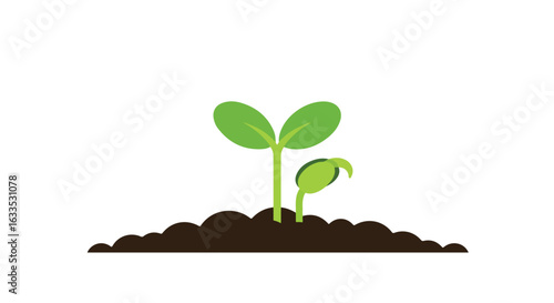 Two young sprouts emerge from the dark soil on a white background