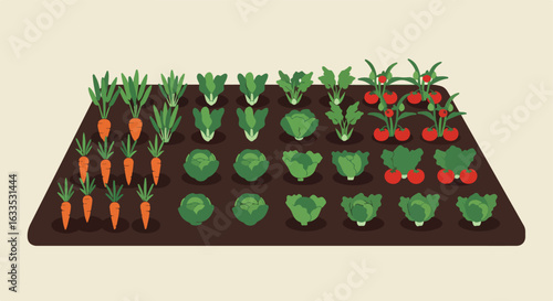 Patchwork of carrots, cabbage, and tomatoes in a simple vegetable garden