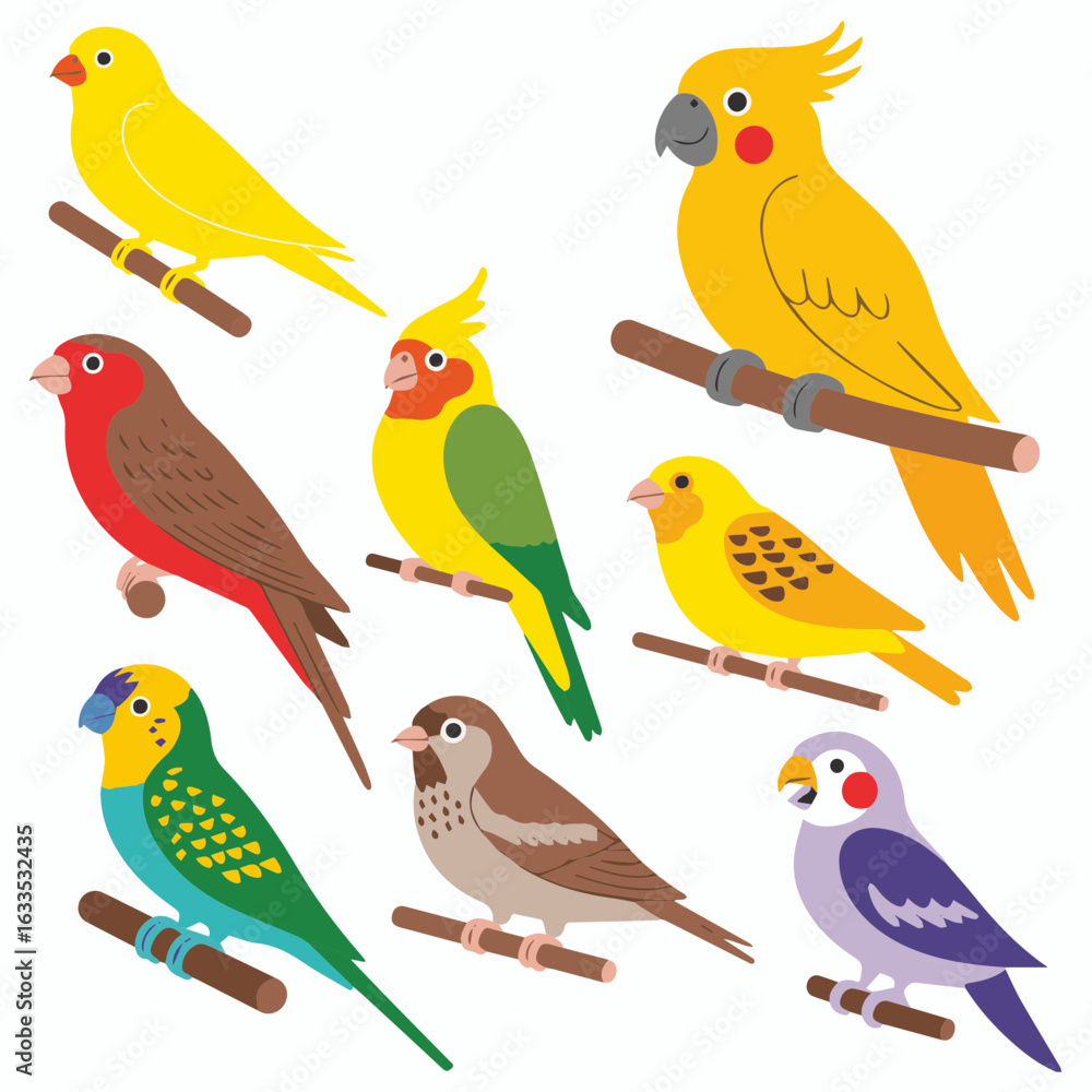 Fototapeta premium Colorful Exotic Birds and Parrots Set