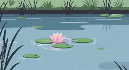Pond view with pink water lily, lily pads, reeds and grassy background