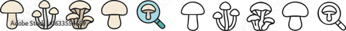 Collection of Mushroom Icons and Magnifying Glass.