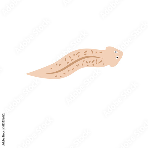 Cartoon Planaria flatworm vector illustration