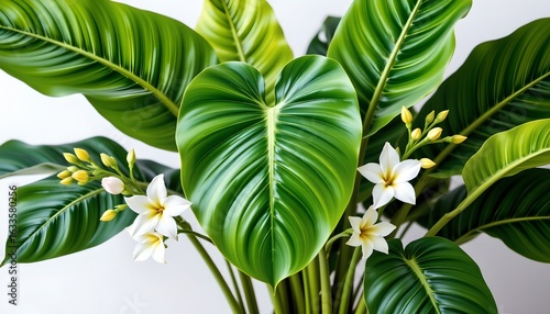 Tropical Floral Arrangement with Heartshaped Leaves