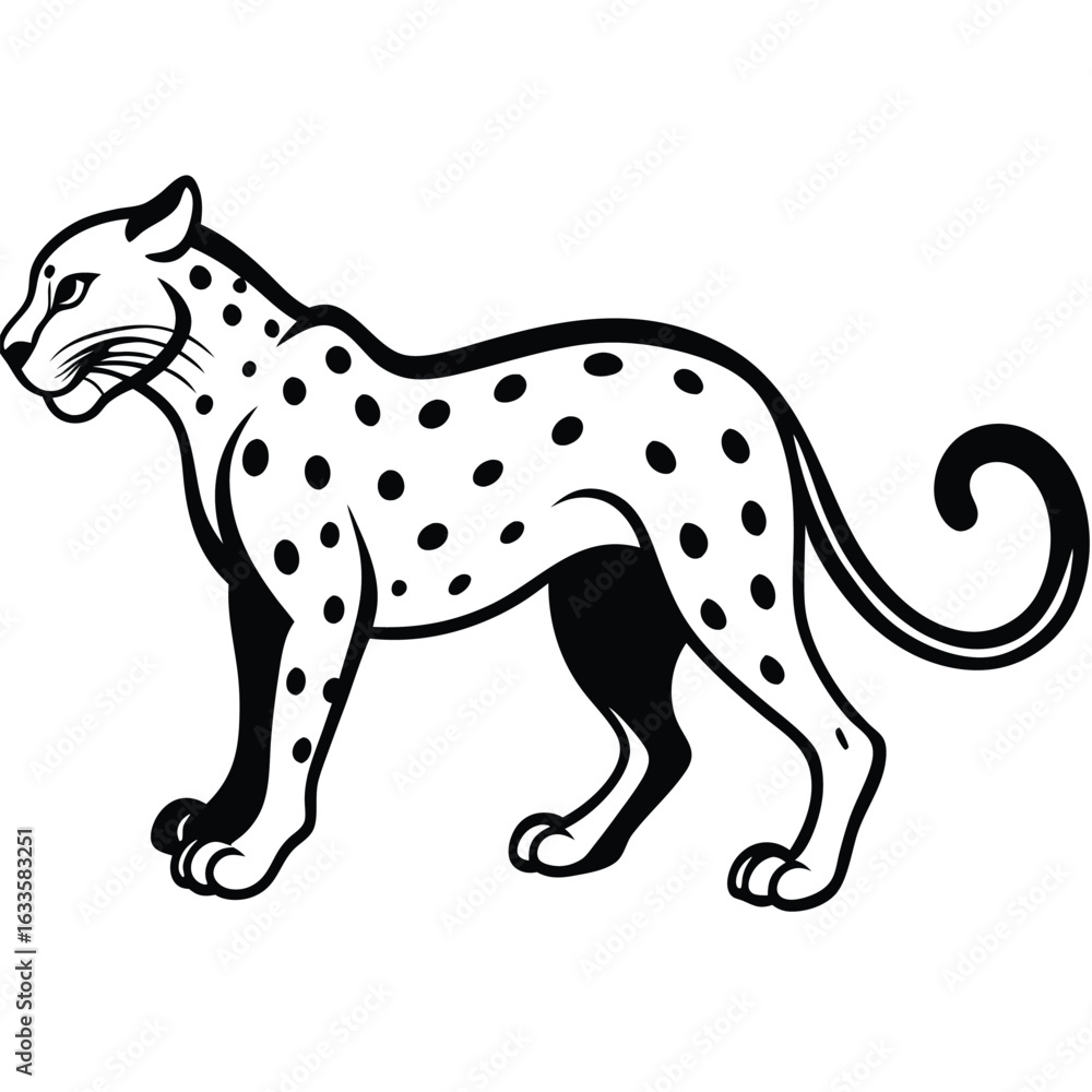 Black and White Spotted Leopard Black and White Spotted Leopard
